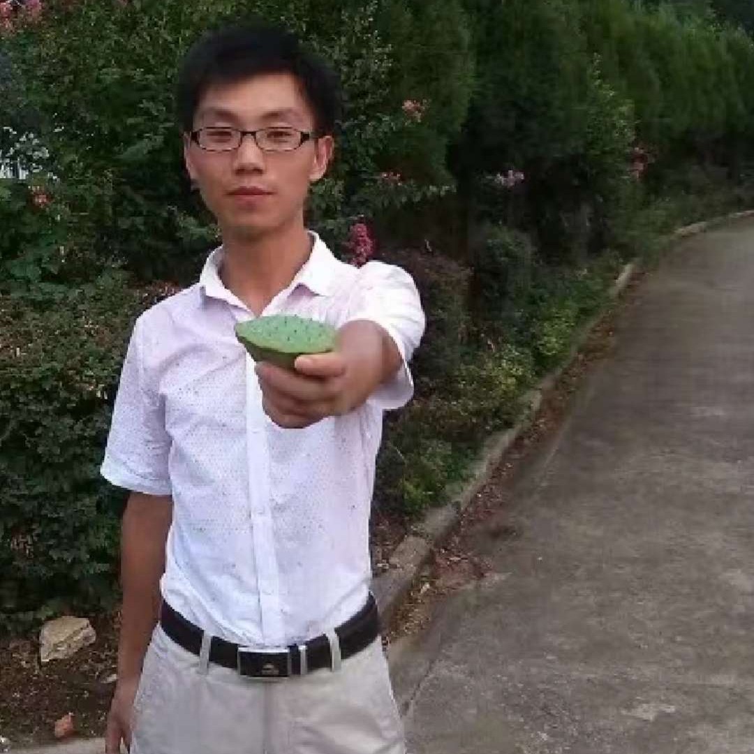 环游遍地的照片