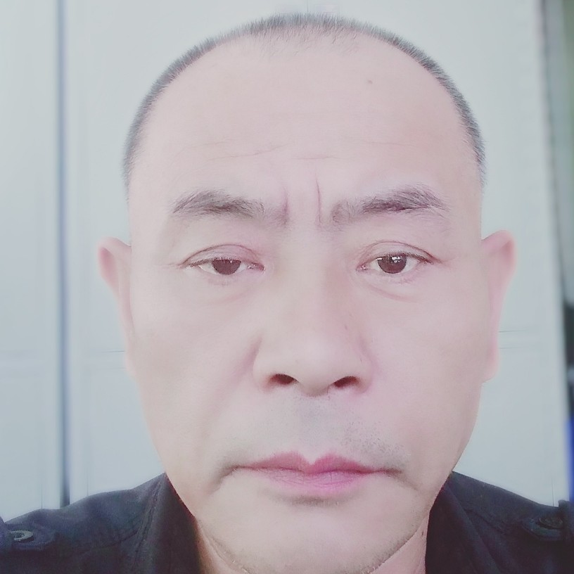 蜜蜂放弃文静的照片