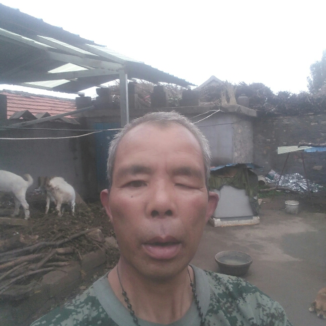 沂源红苹果的照片