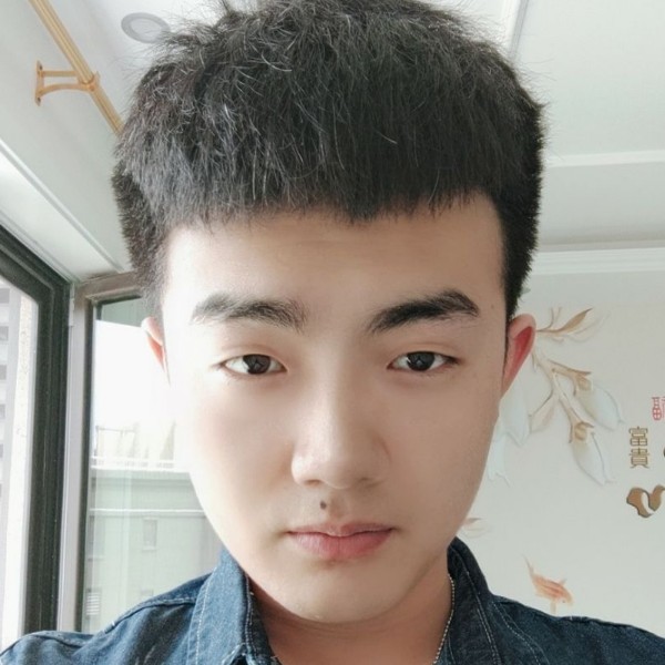 斑马拉长的照片