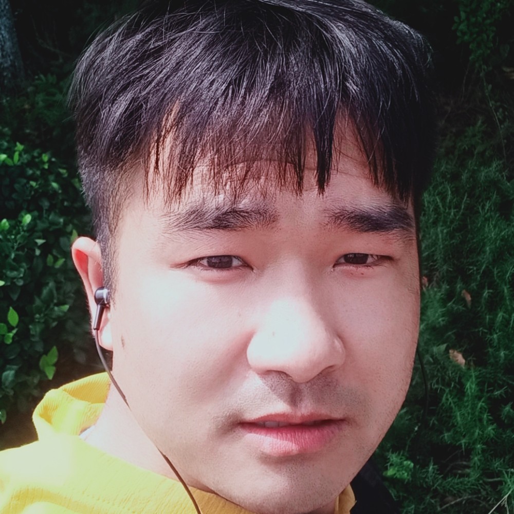 孤寂的流星泪的照片
