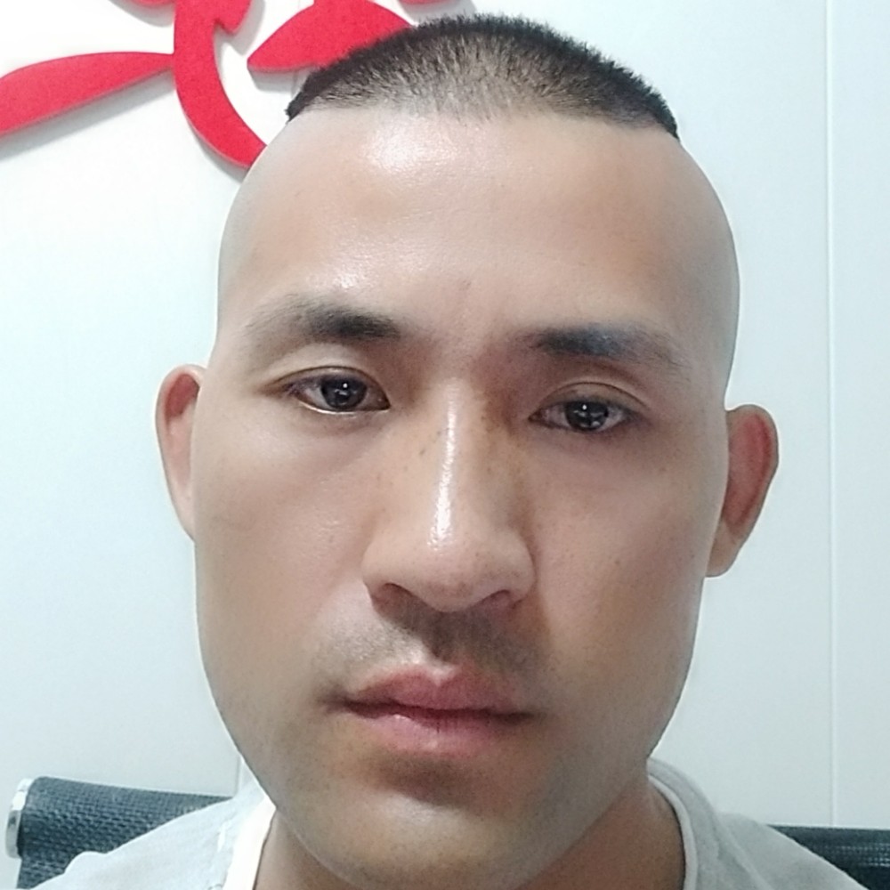 小蜜蜂忧郁的照片