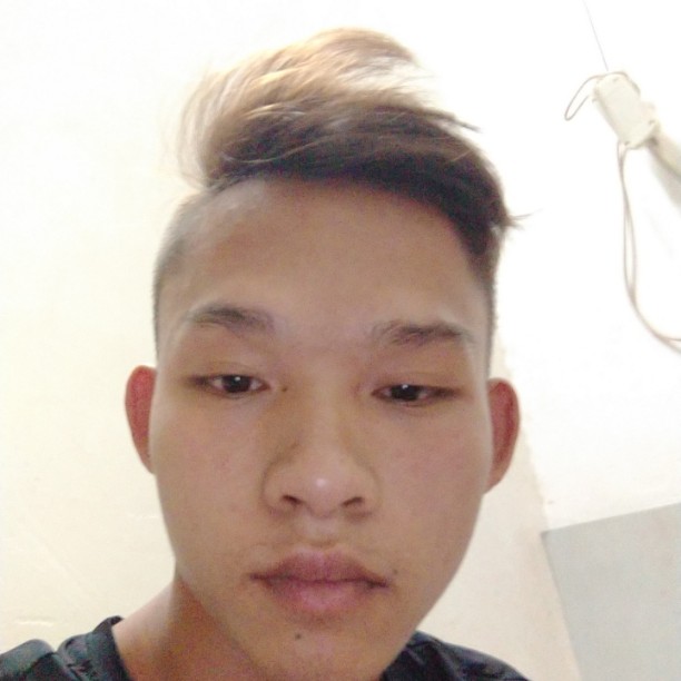 画笔透彻的照片