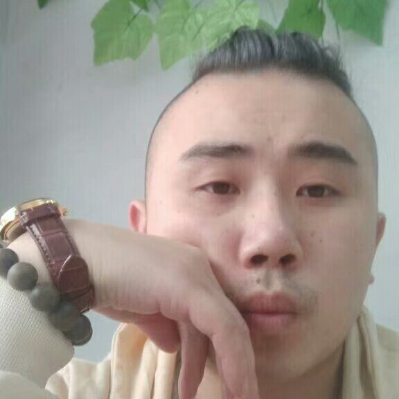 奇异果相许舒适的照片