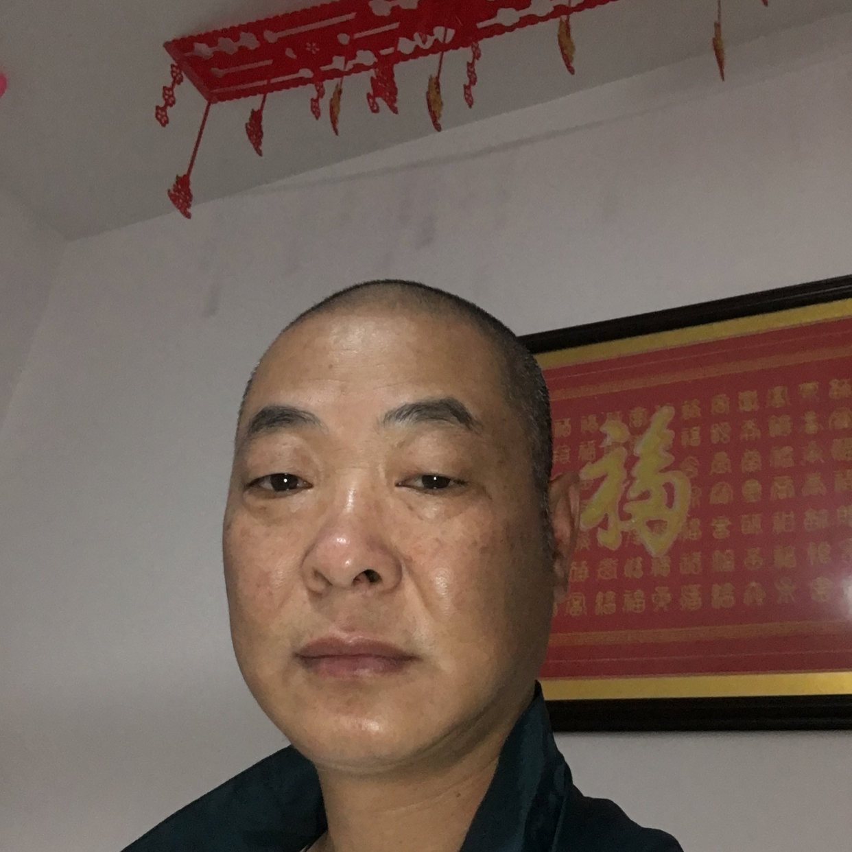 高大和小蚂蚁的照片