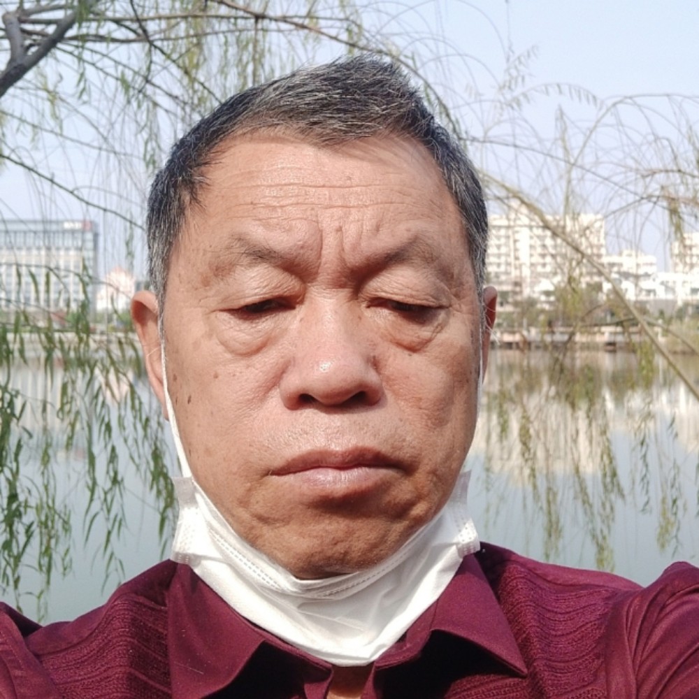 感动给小懒猪的照片