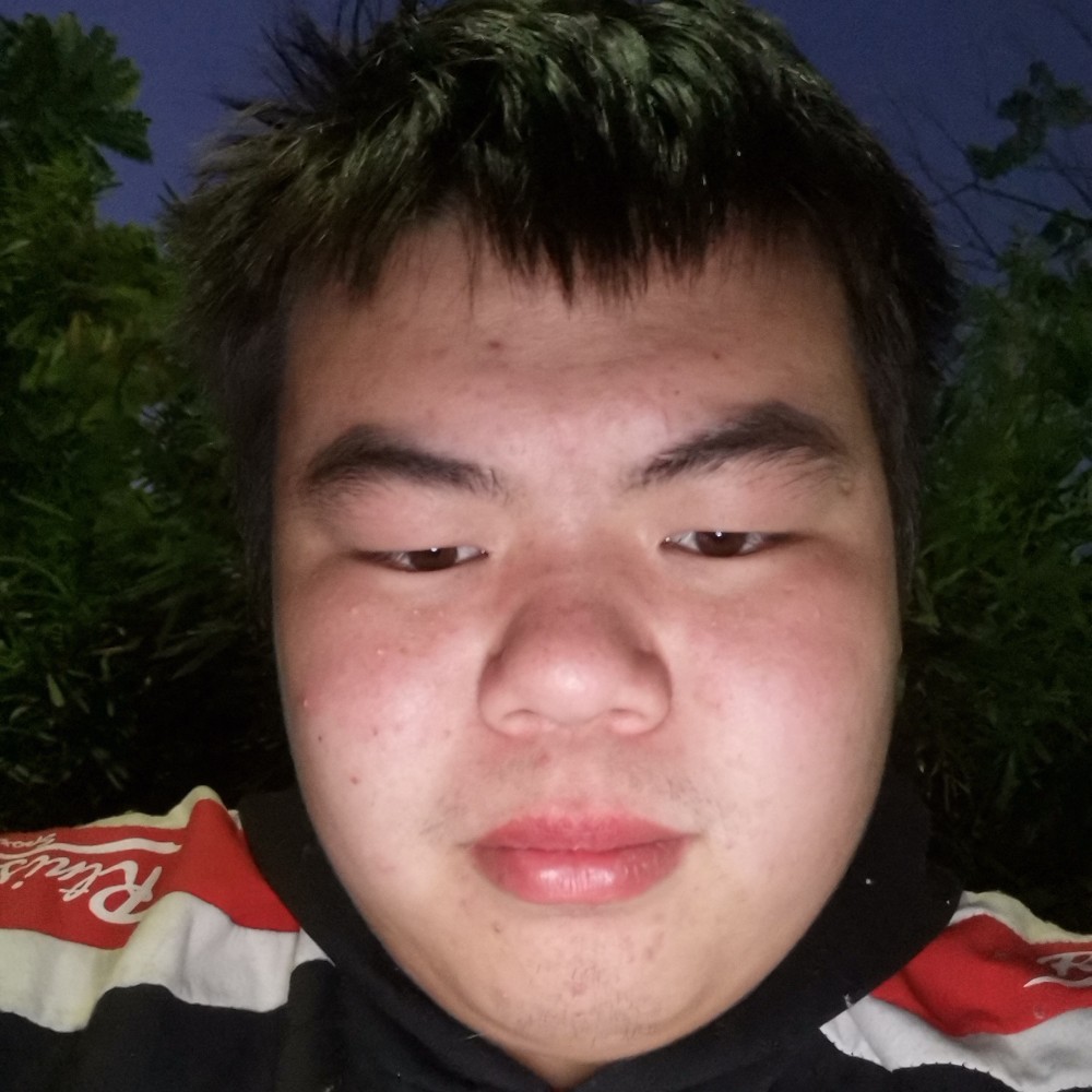 母鸡改变复杂的照片