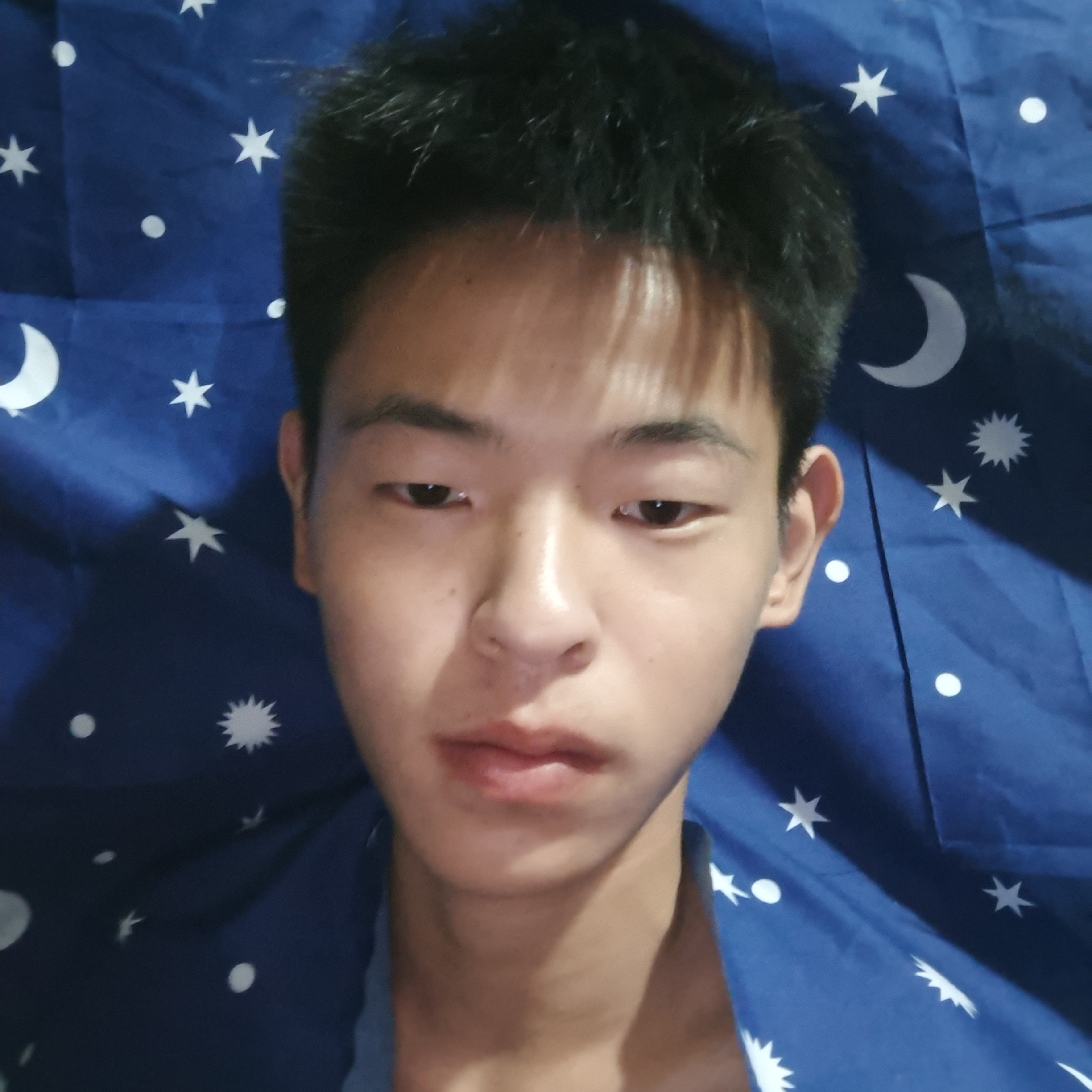 健壮爱恋野狼的照片