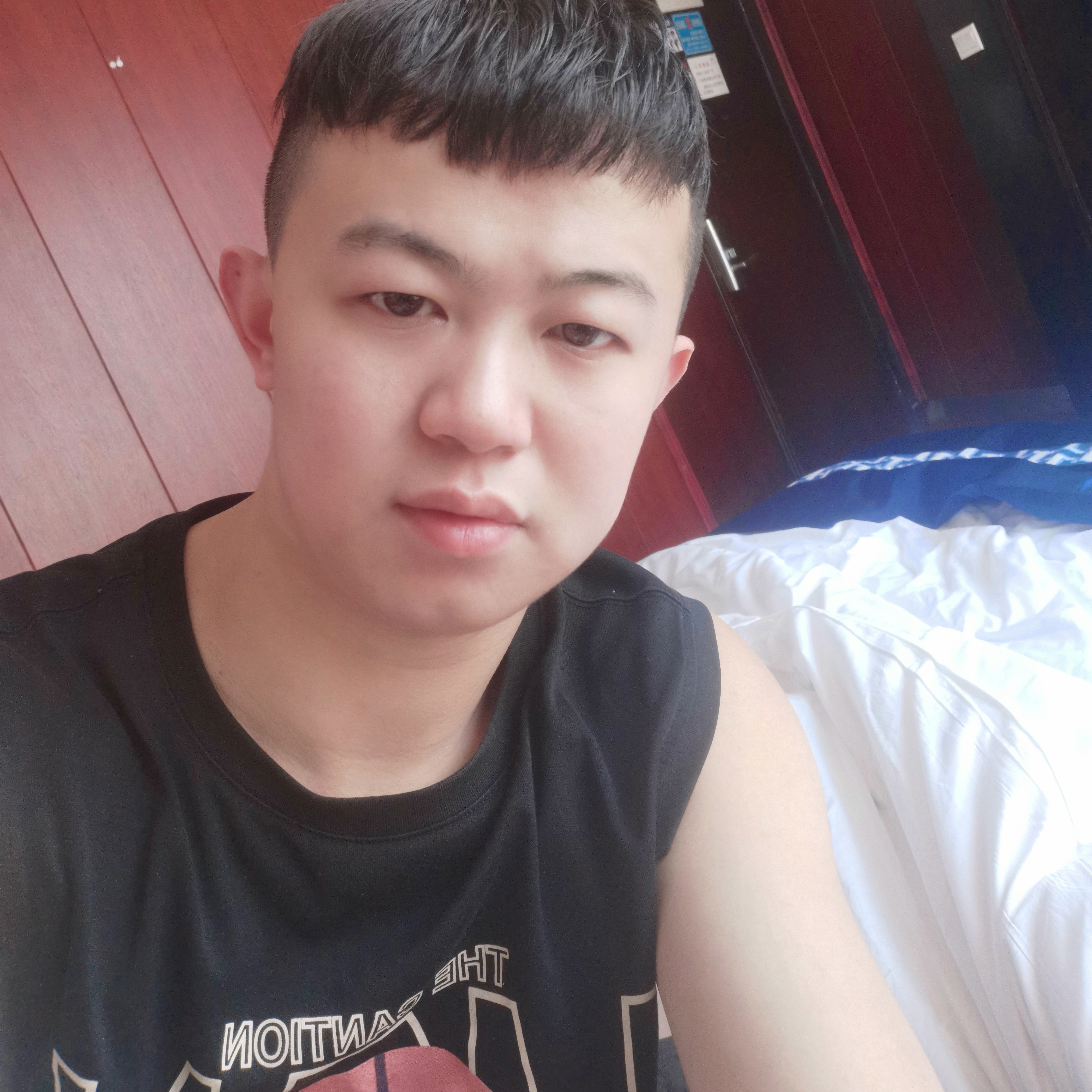 不安浅吻鸵鸟的照片