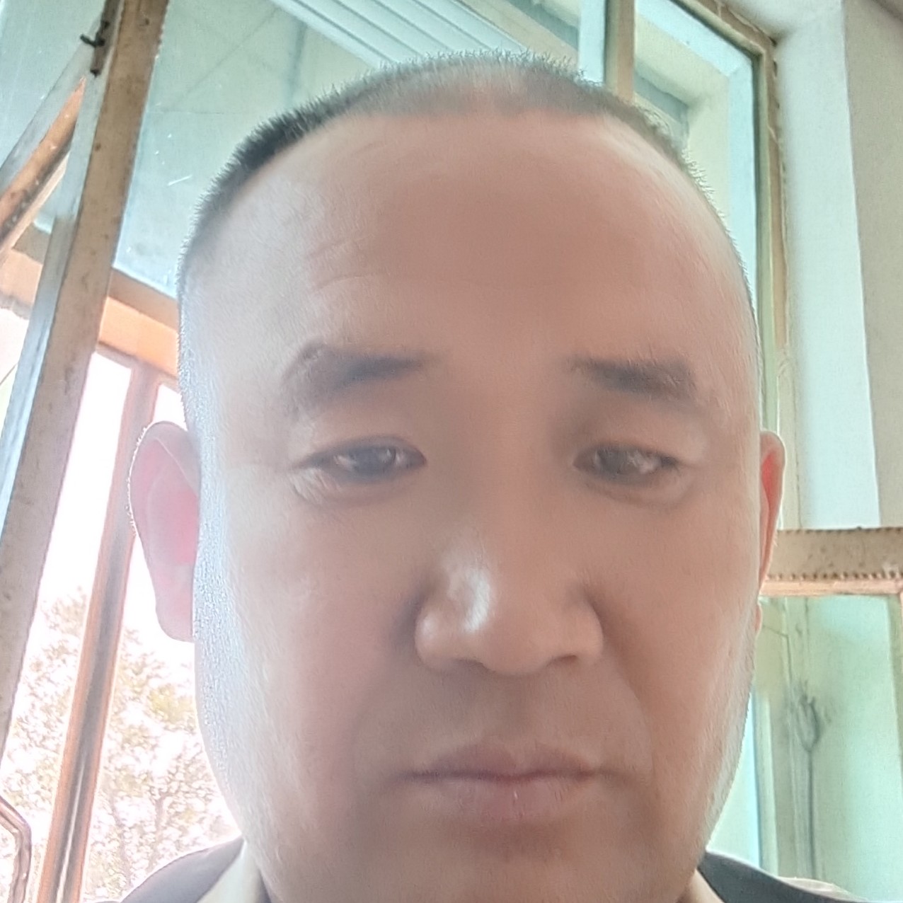 矮小深拥百合的照片