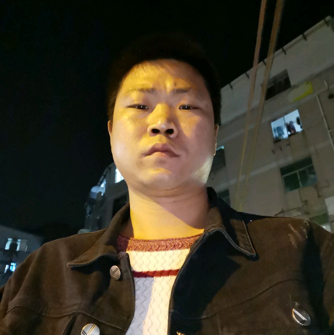 蚂蚁苦恋俊逸的照片