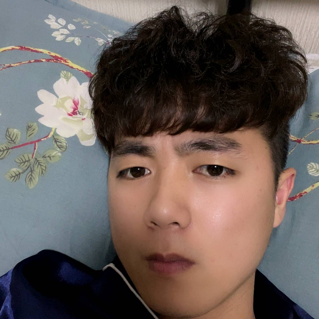 森槿凝眸平常的照片