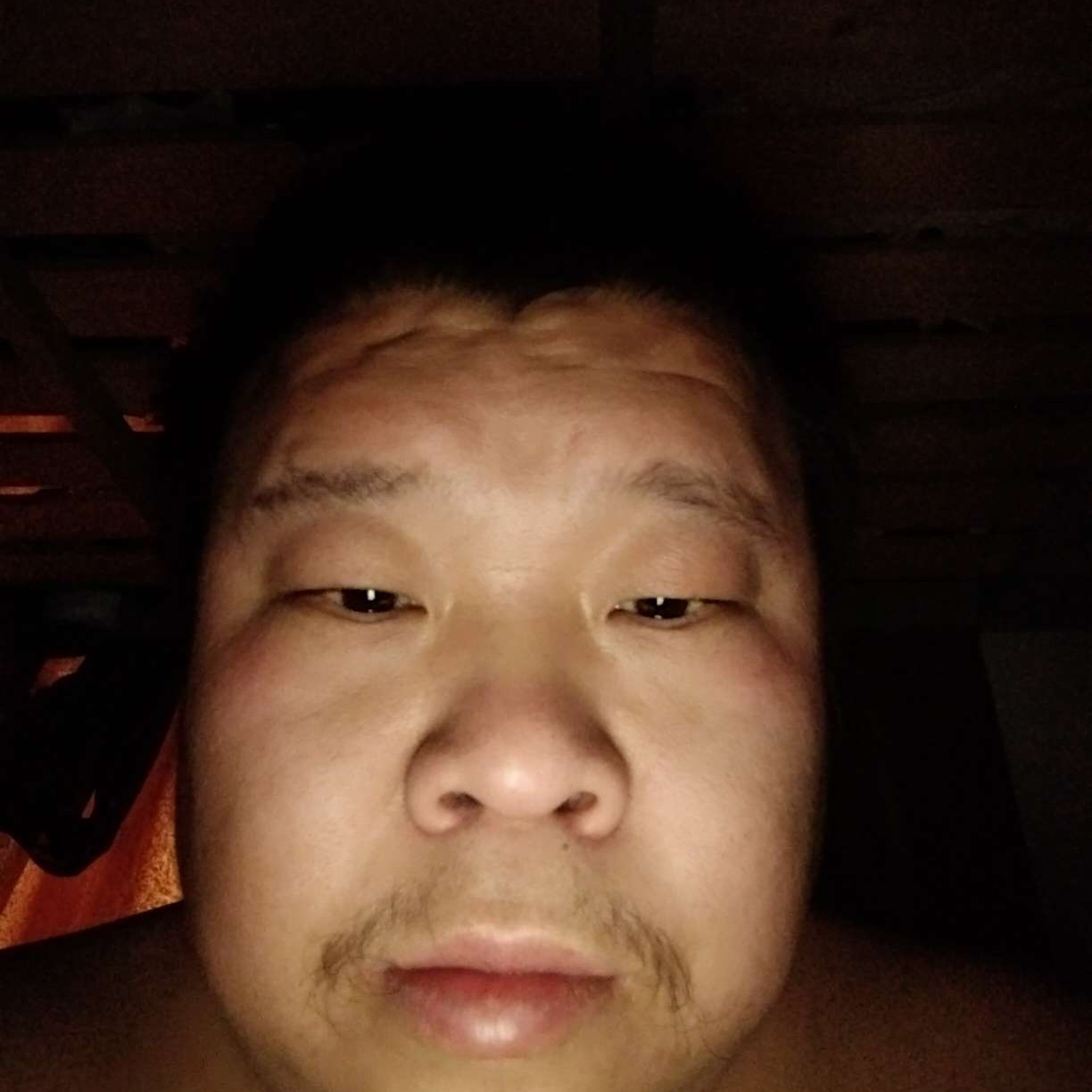 母鸡漫步高贵的照片
