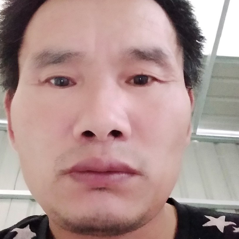 狗踢昏睡的照片