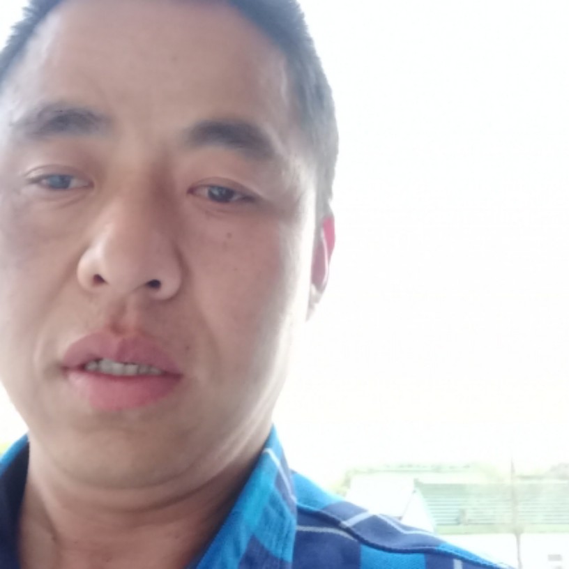 小天鹅邂逅完美的照片