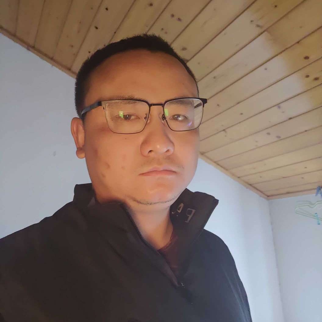 我的白天鹅在哪里的照片