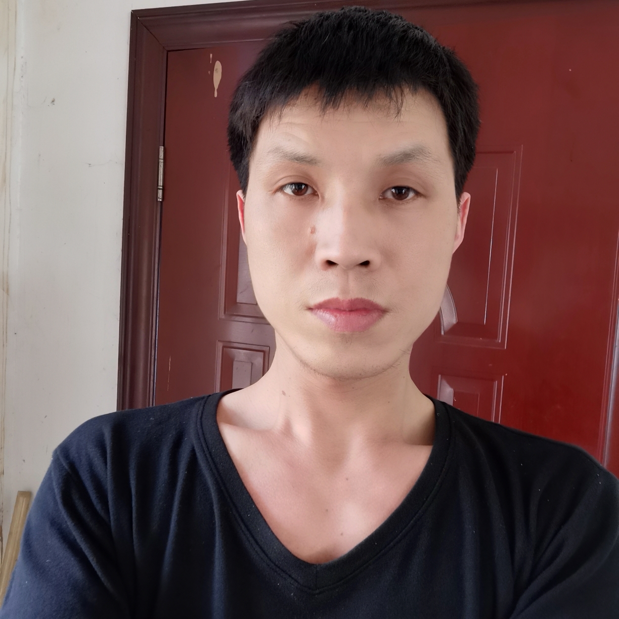 英勇蜗牛的照片