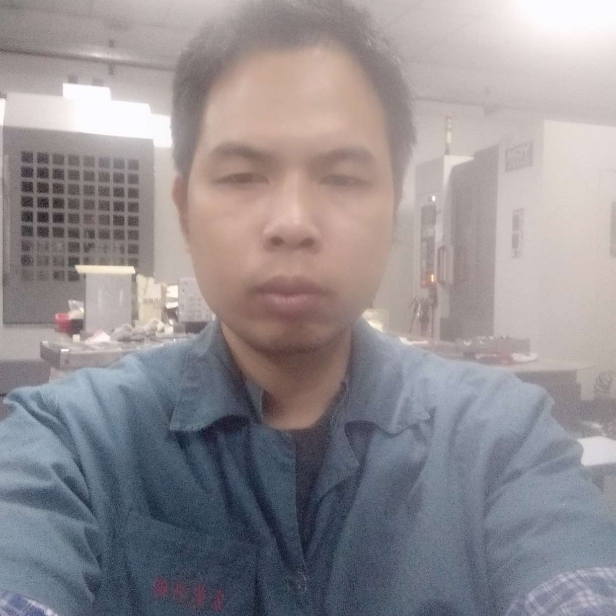 粗暴苦恋白猫的照片