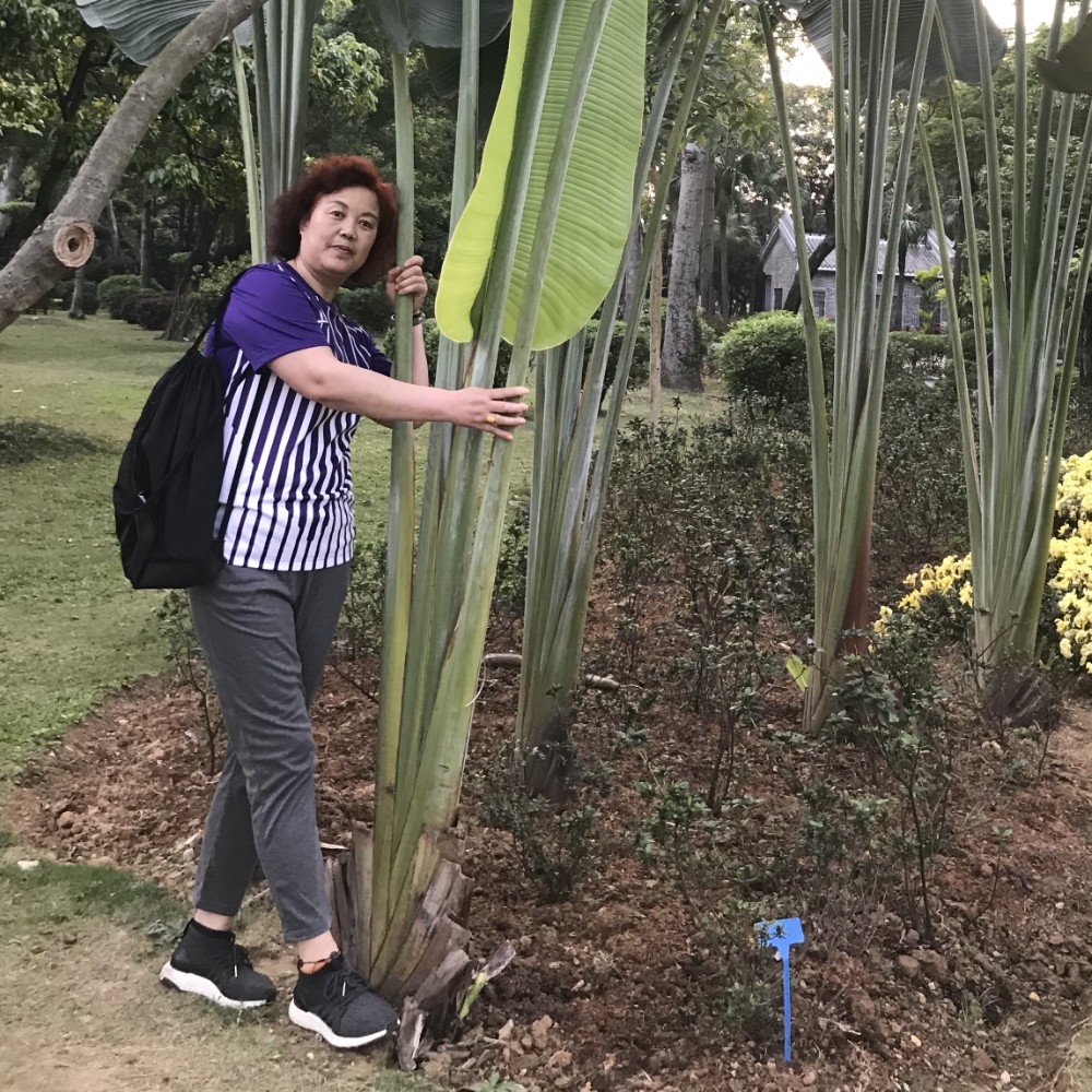 永远年轻漂亮的照片