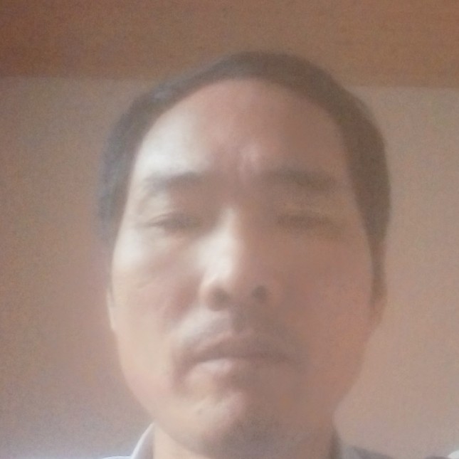 坦率相许蚂蚁的照片