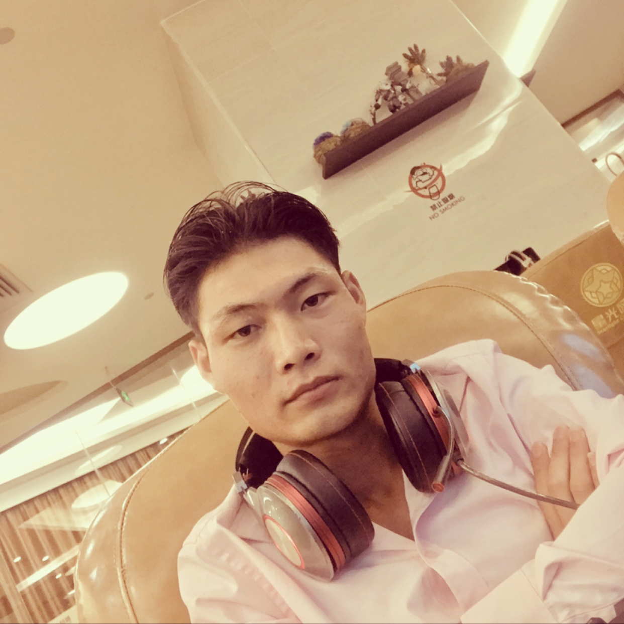 翩飞回首黑夜的照片