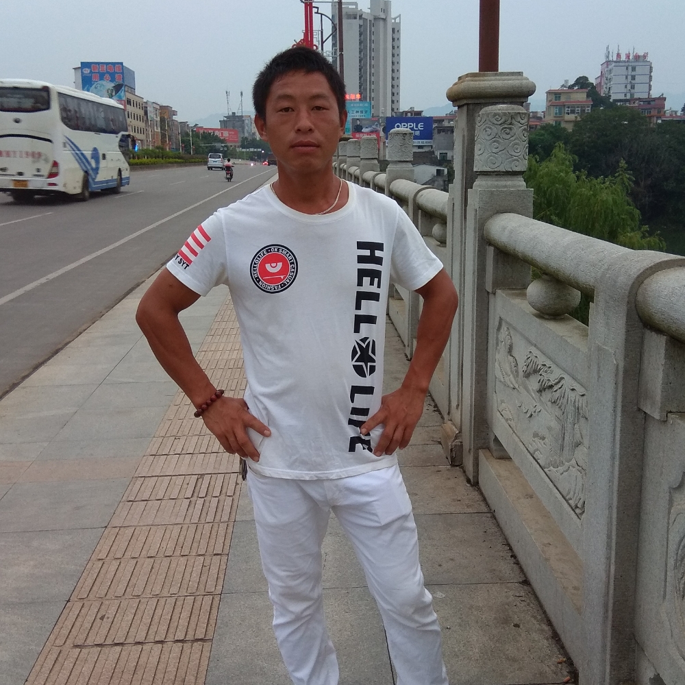 现代蚂蚁的照片