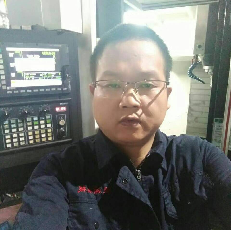懵懂凝眸白猫的照片