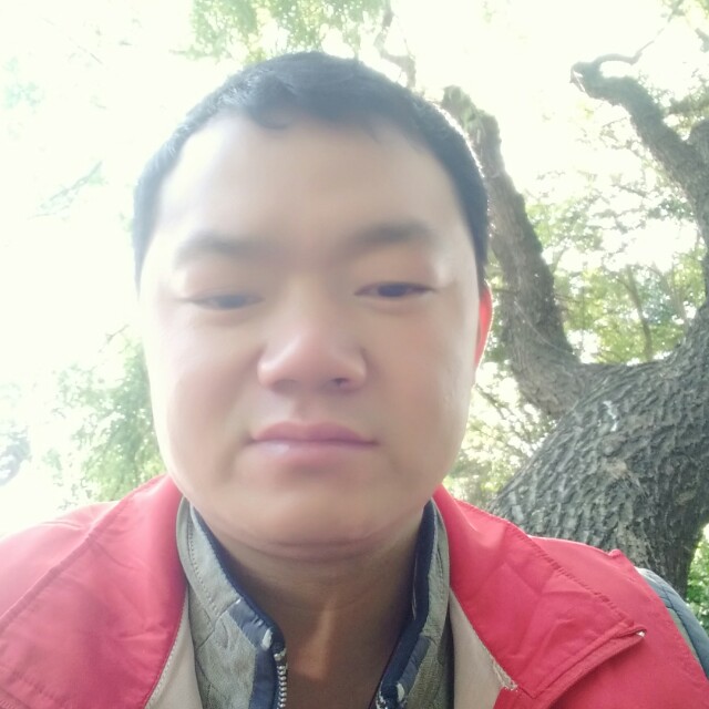 心岛淡然的照片