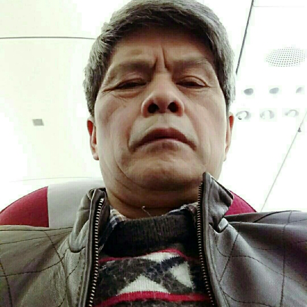 浪漫的松鼠的照片