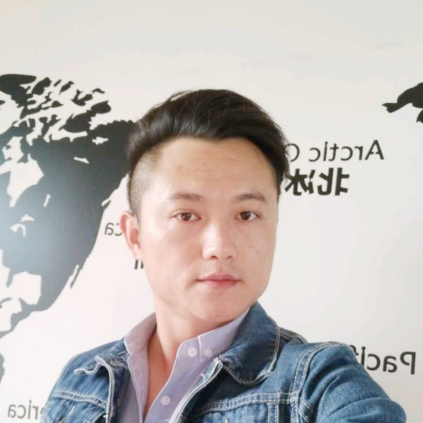 稳重翅膀的照片