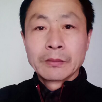 貌铃的照片