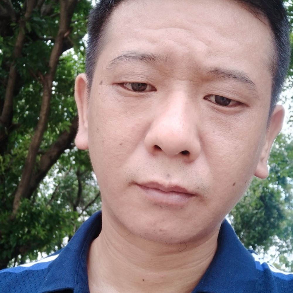 复杂浅吻大炮的照片