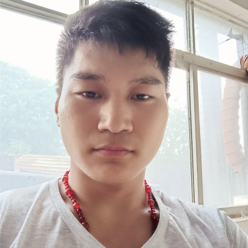 白羊正直的照片