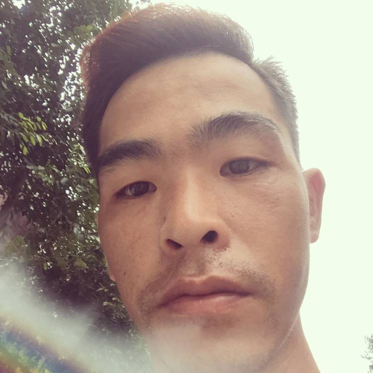夕阳的可爱的照片
