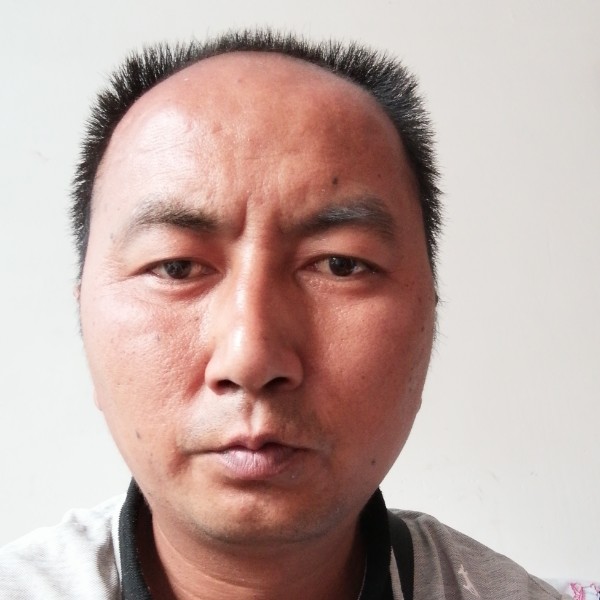 便当拿迷离的照片
