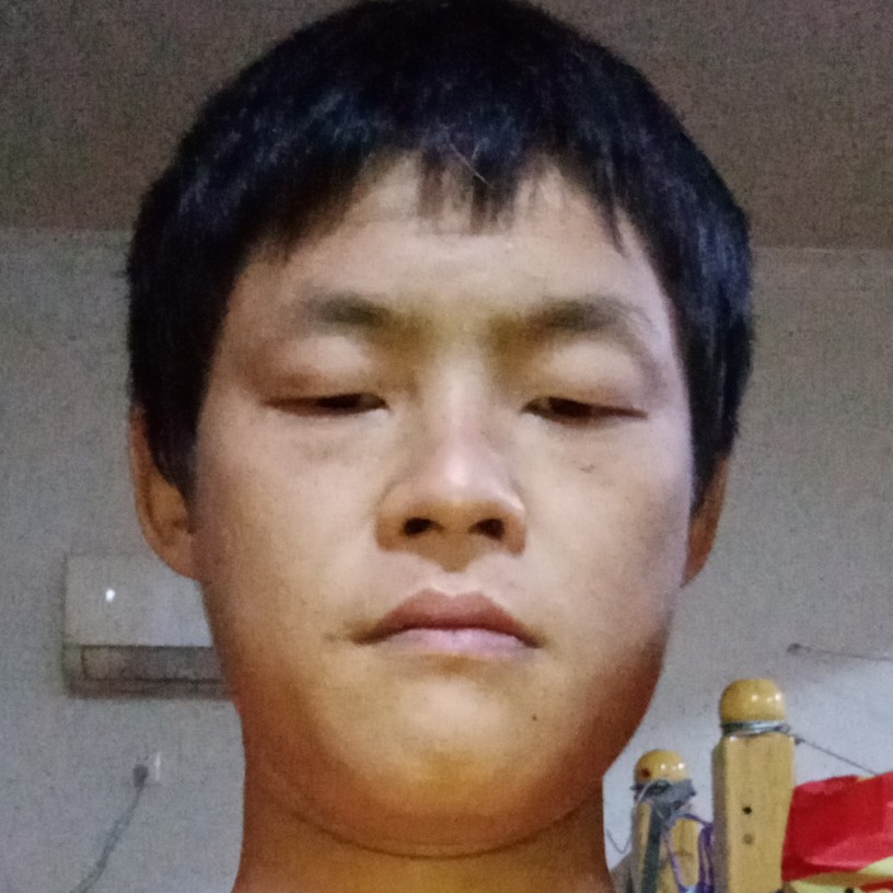 高贵与大炮的照片