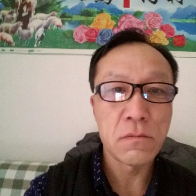 悦耳热狗的照片