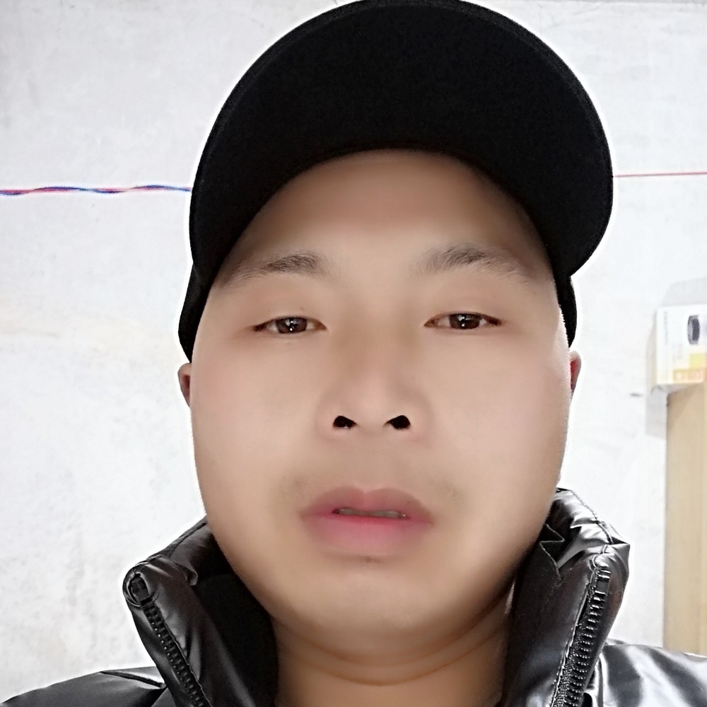 沙漠中的骆驼。。的照片