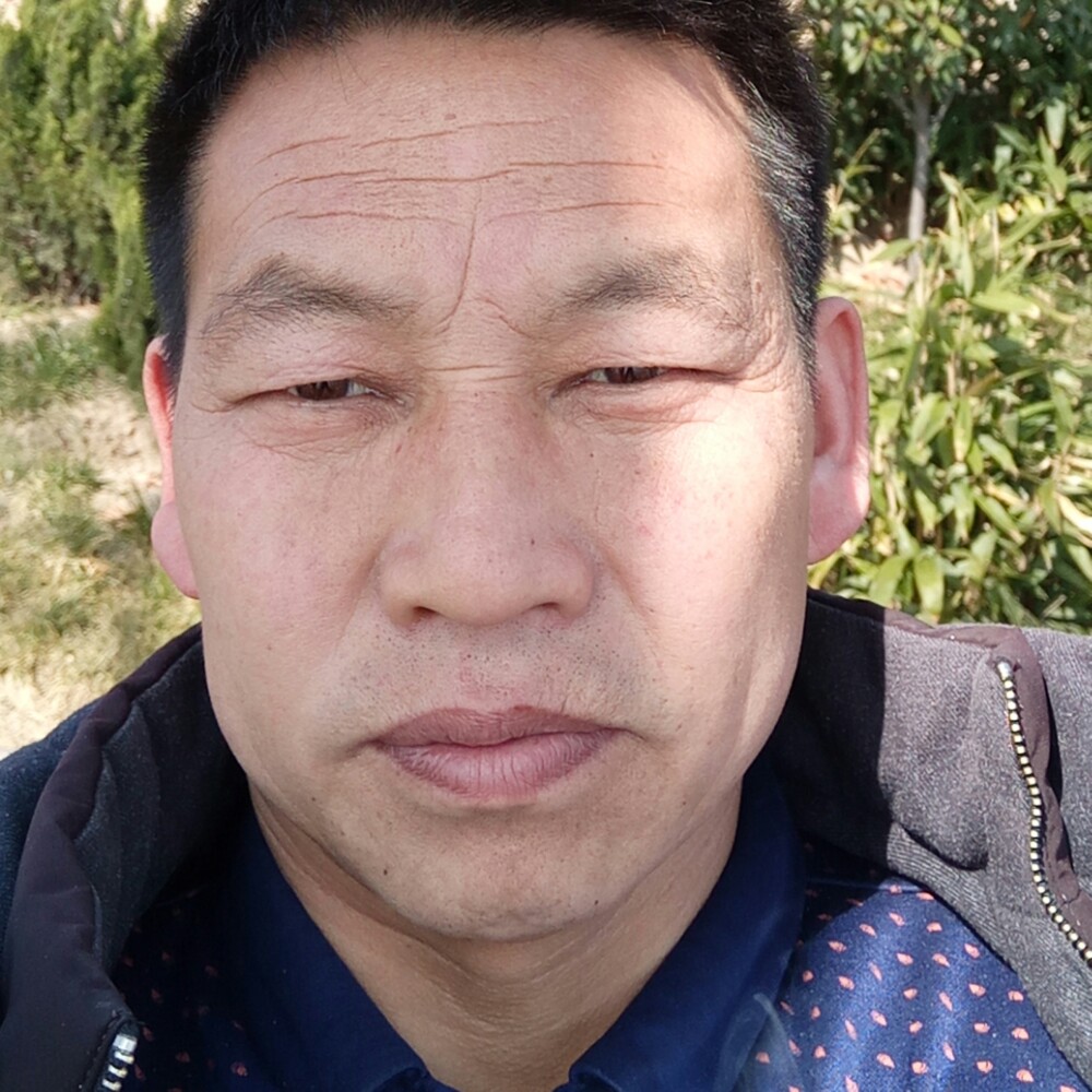 魁梧猫咪的照片