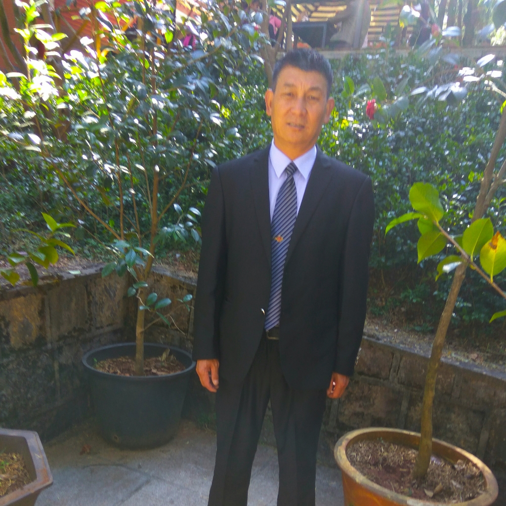 专注荷花的照片