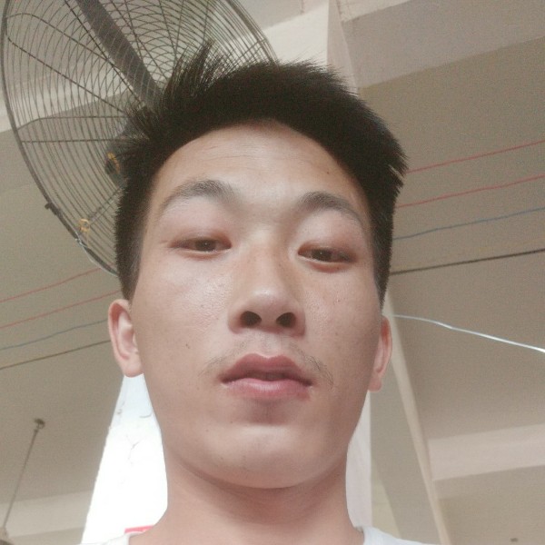 谦让爱彩虹的照片