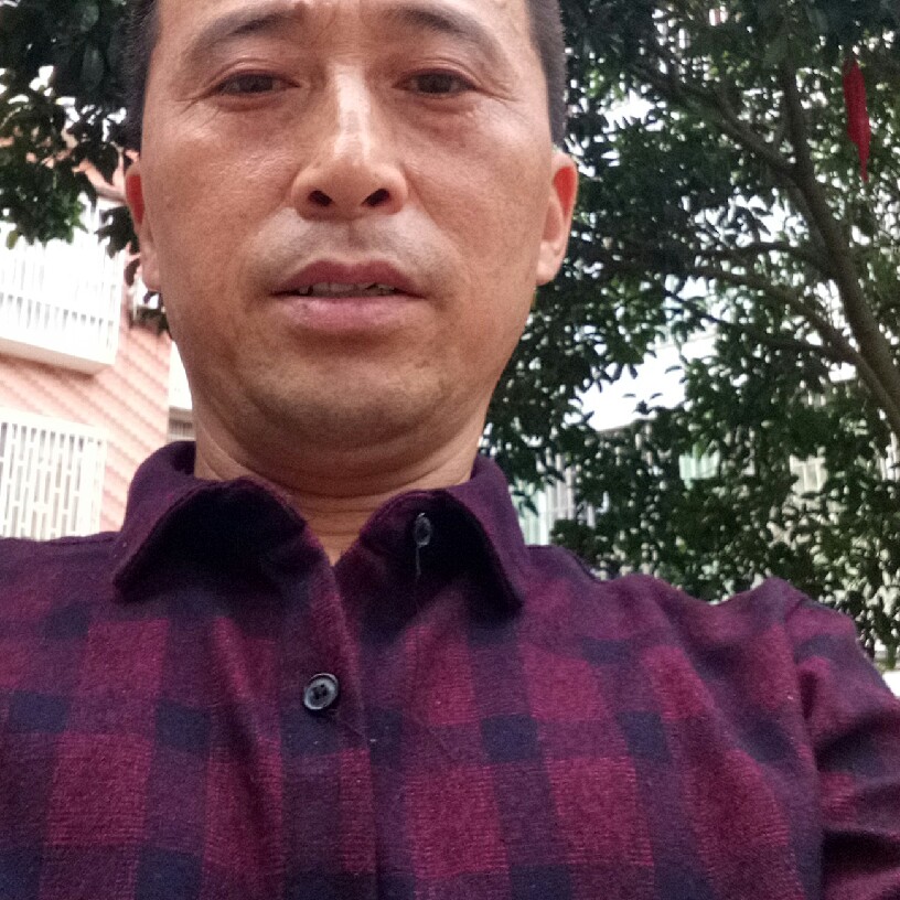 枫叶回眸满意的照片