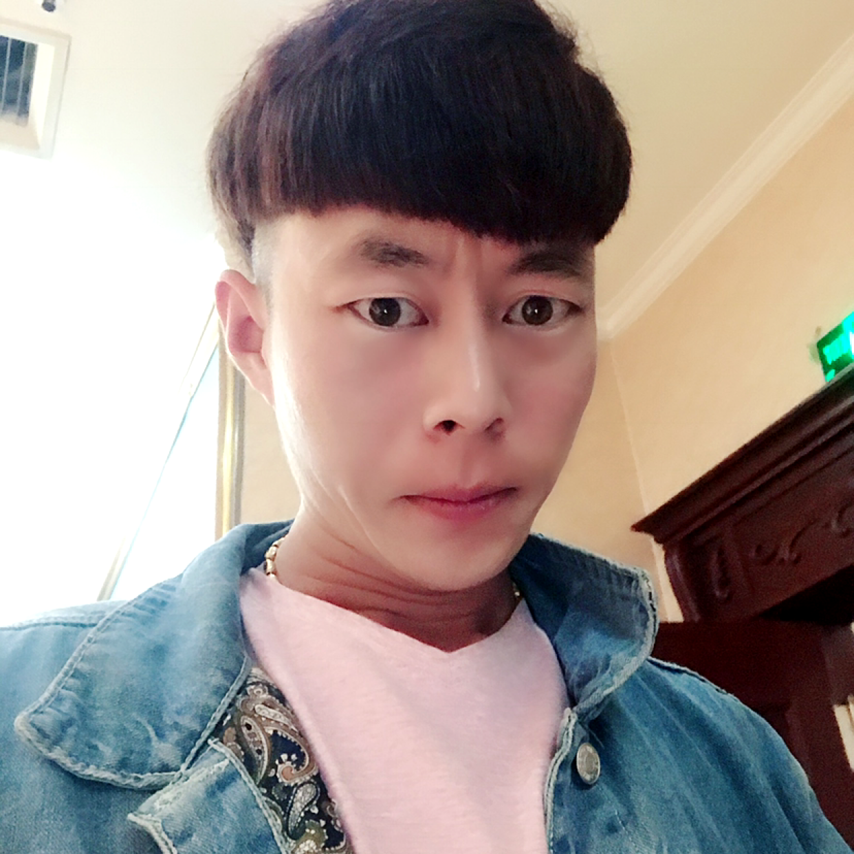 无垠相许含羞草的照片