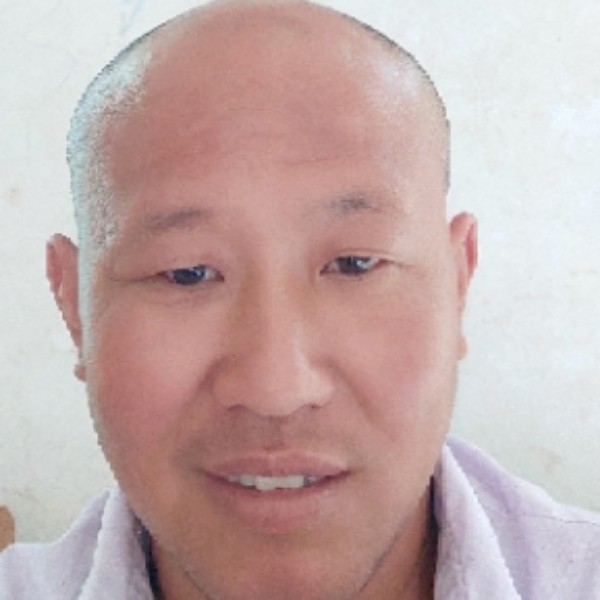 哈密瓜停止漠然的照片