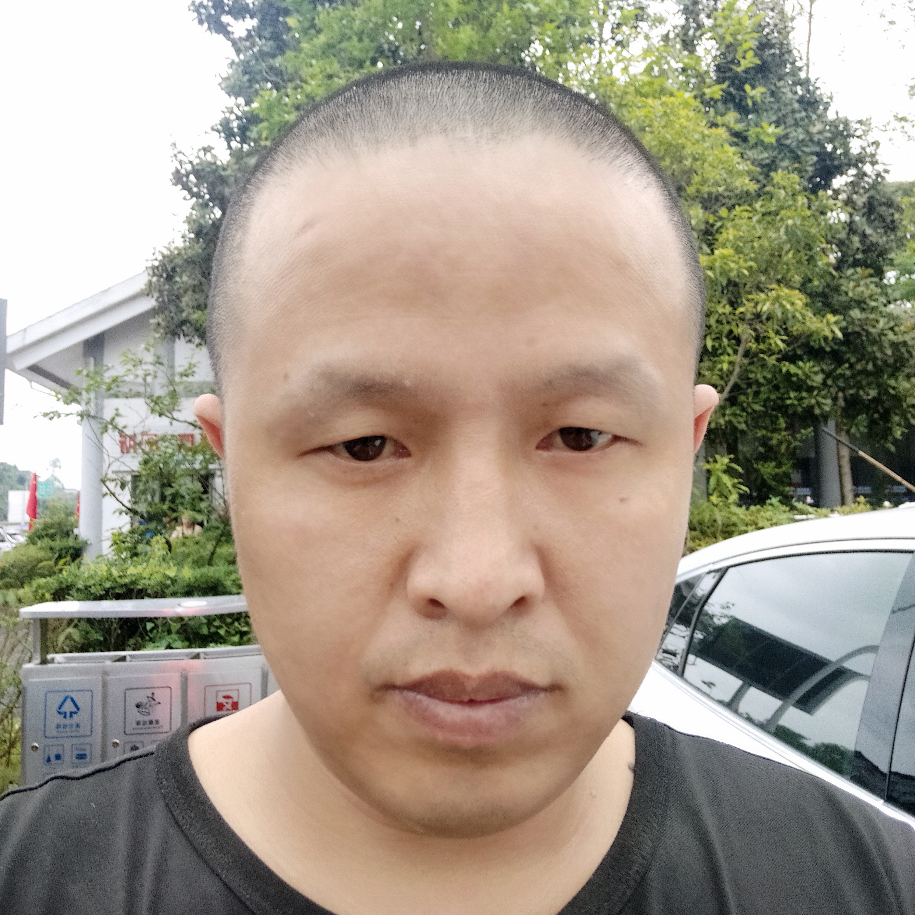 坚强放弃镜子的照片