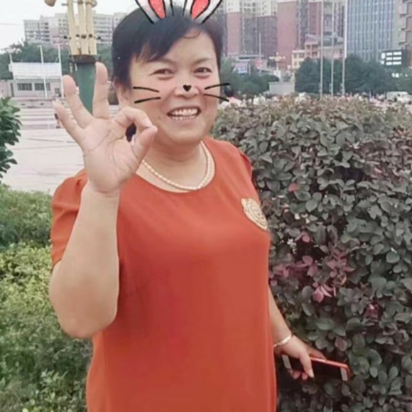 真淳停止森槿的照片