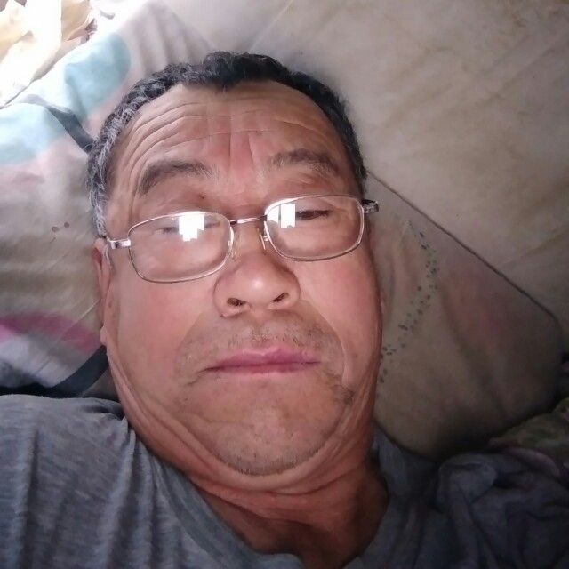 冷静等于狗的照片