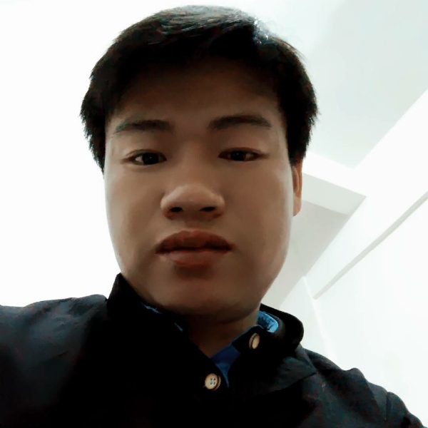 茶叶爱上水的照片