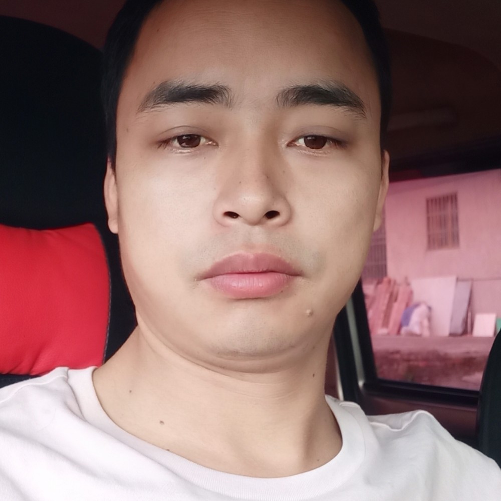 勤劳的黑猫的照片