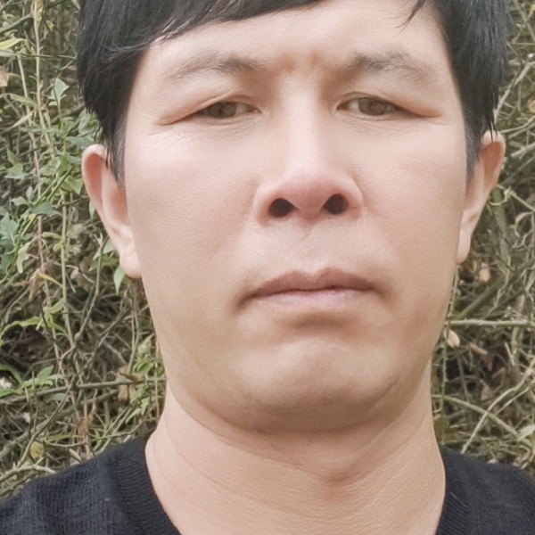 寒冷停止小海豚的照片
